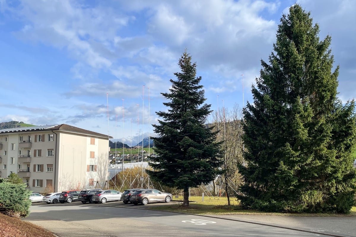 Grundstück mit dem Baugespann des geplanten Neubaus