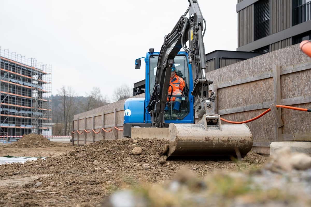 Gartenbau in der 2. Etappe Grünmatt in Emmen