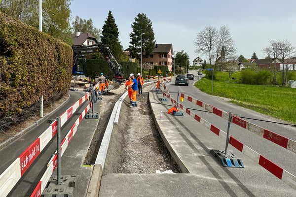 Instandstellung Schulhausweg, Sonnenrain, Palmisackerstrasse