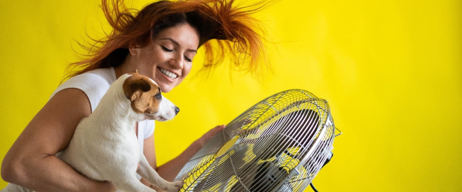 Eine Frau mit Ihrem Hund geniessen den Wind eines Ventilators